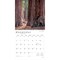 Yosemite | 2026 12 x 24 Inch (Hanging) Monthly Square Wall Calendar | Plastic-Free
